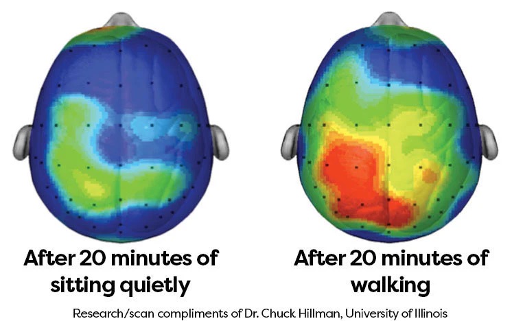 flexibleofficenetwork walking on the brain