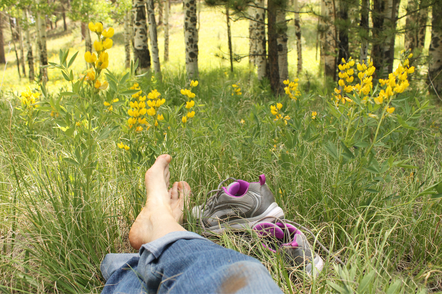 Die Kunst des Ausruhens: Pausen sind Teil des Arbeitens